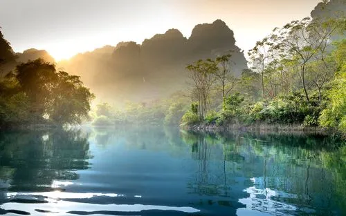 稳定性高端